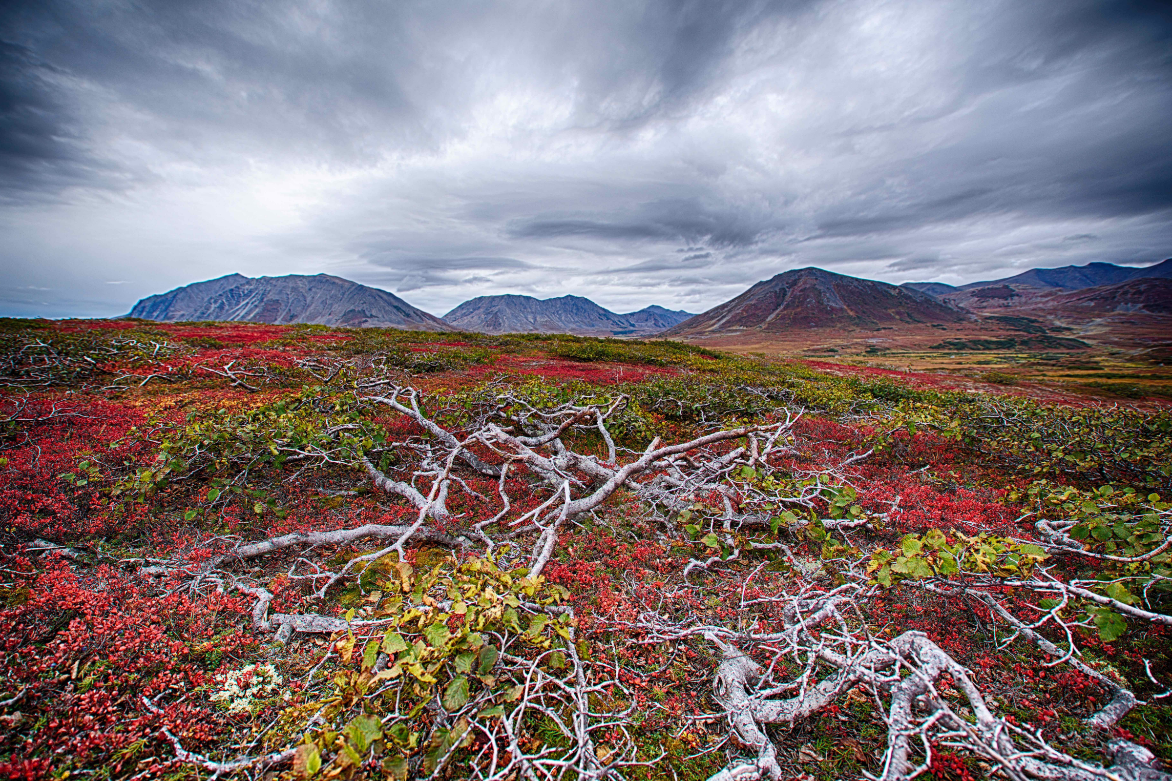 prince leopold island, nunavut (2).webp